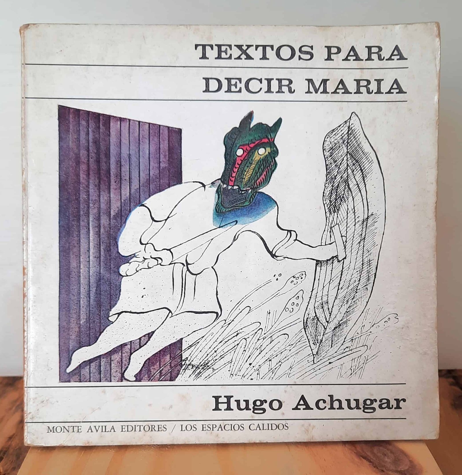 Portada de Textos para decir María
