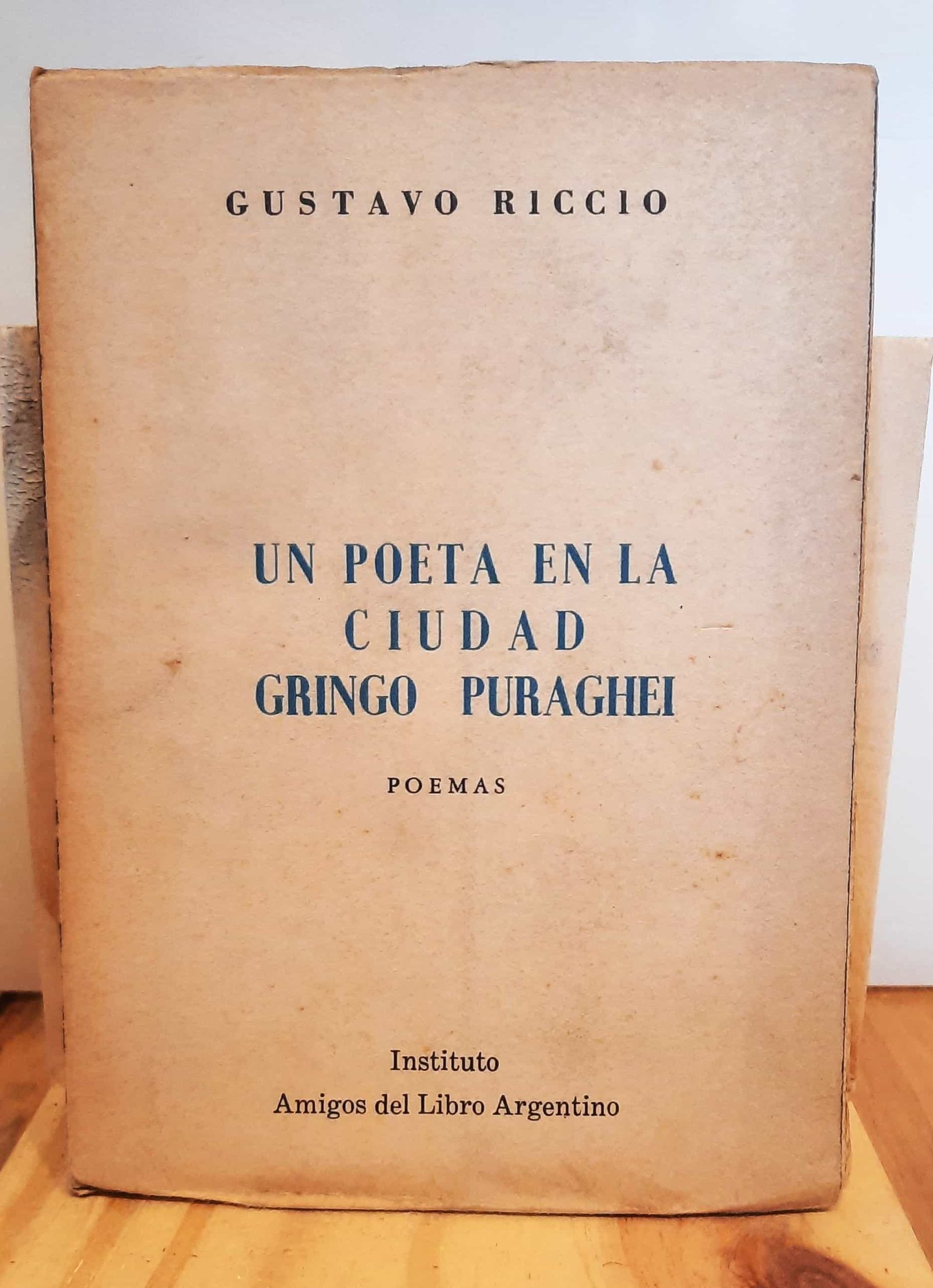 Portada de Un poeta en la ciudad Gringo Puraghei