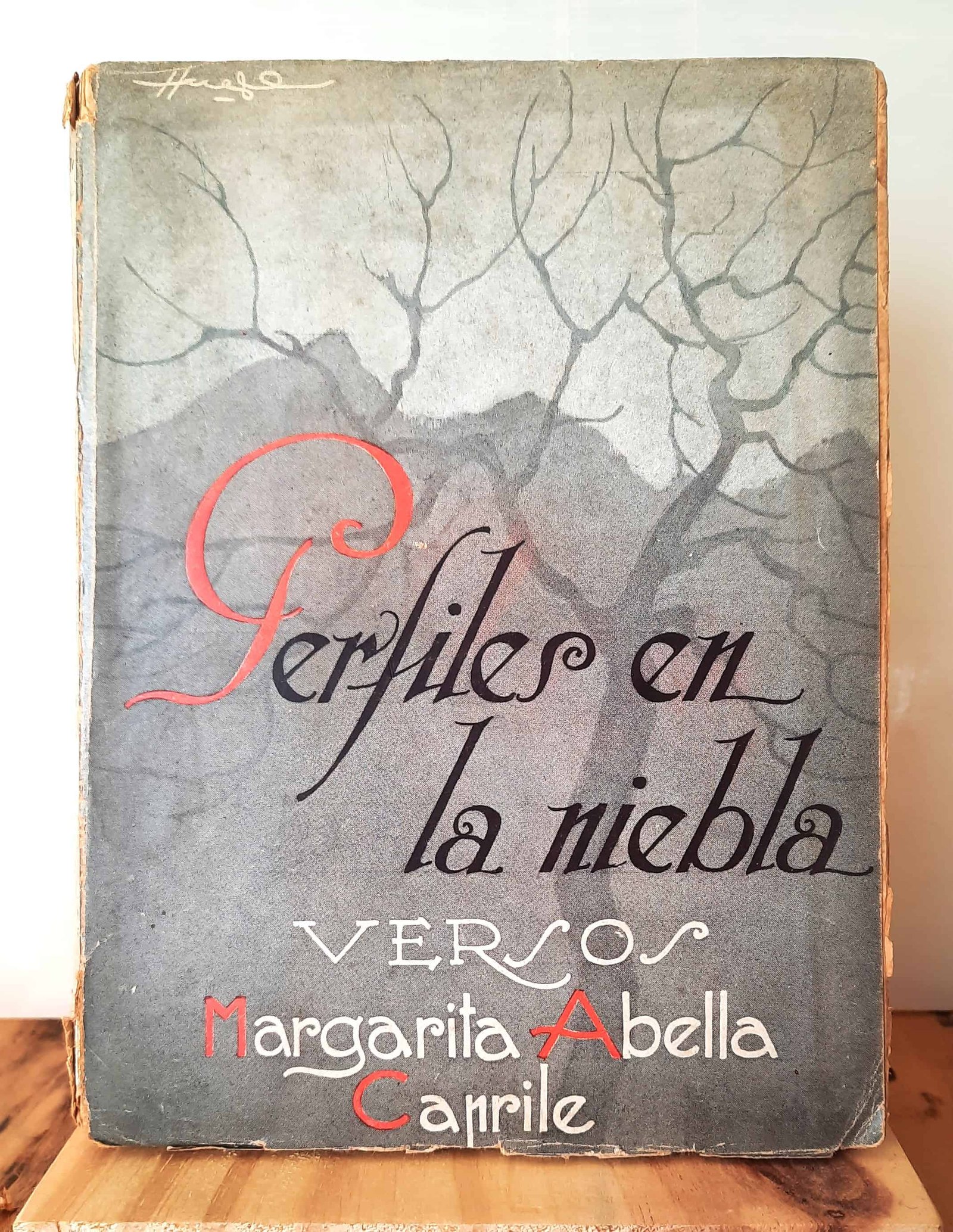 Portada de Perfiles en la niebla
